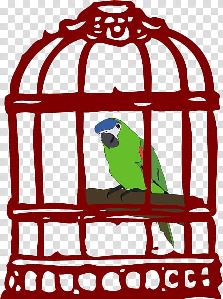 Parrot Birdcage Cartoon , Matter transparent background PNG clipart