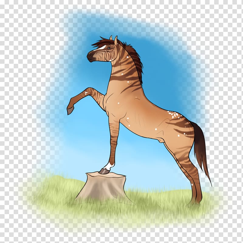 Mustang Foal Stallion Halter Fauna, mounted archery training transparent background PNG clipart