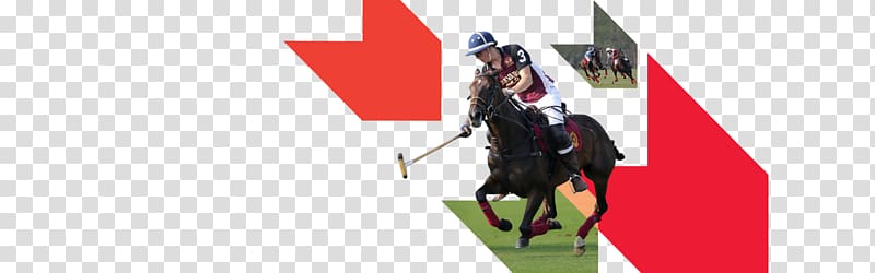 Horse Rein Flag Jockey International, horse transparent background PNG clipart
