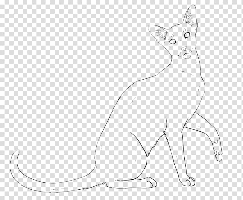 Oriental Shorthair British Shorthair Javanese cat Line art Drawing, oriental transparent background PNG clipart