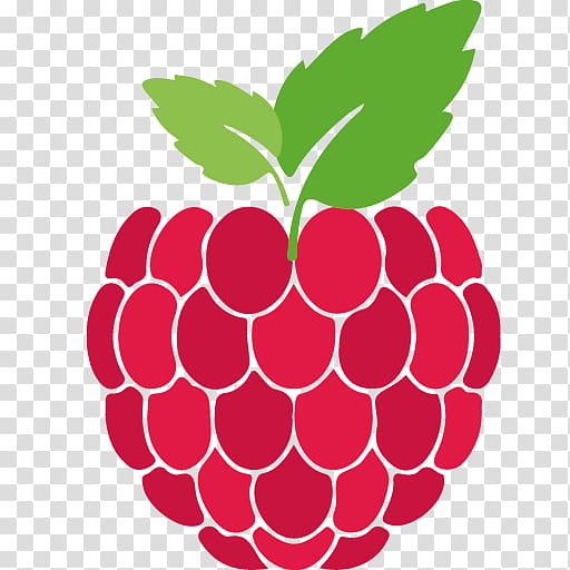 Raspberry Roots Raspberry Pi Raspberry Road Arduino General-purpose input/output, raspberries transparent background PNG clipart