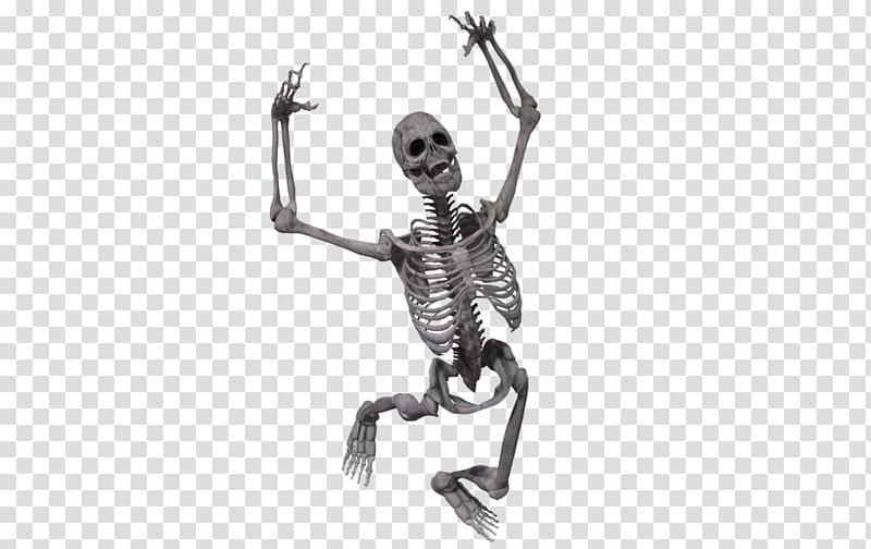 Skeleton transparent background PNG clipart