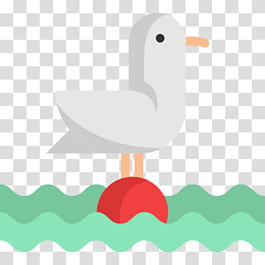Gulls Computer Icons Bird Duck , seagull transparent background PNG clipart thumbnail