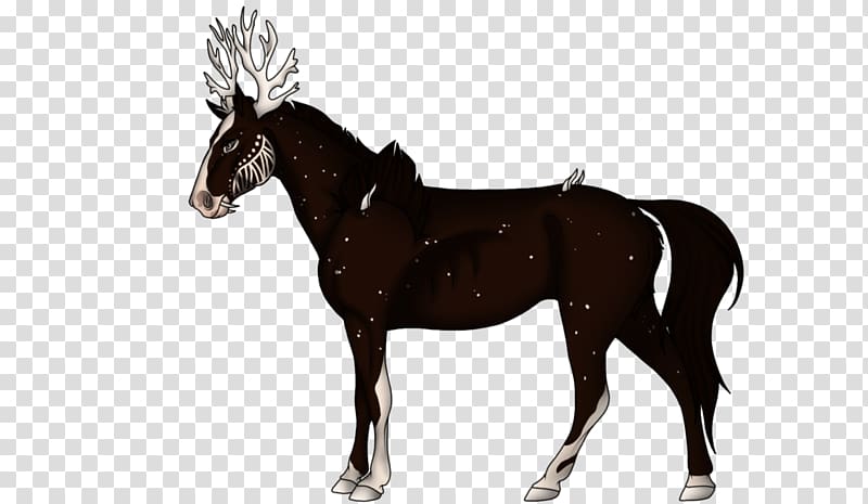 American Quarter Horse Standing Horse Equestrian, shading snowflake transparent background PNG clipart