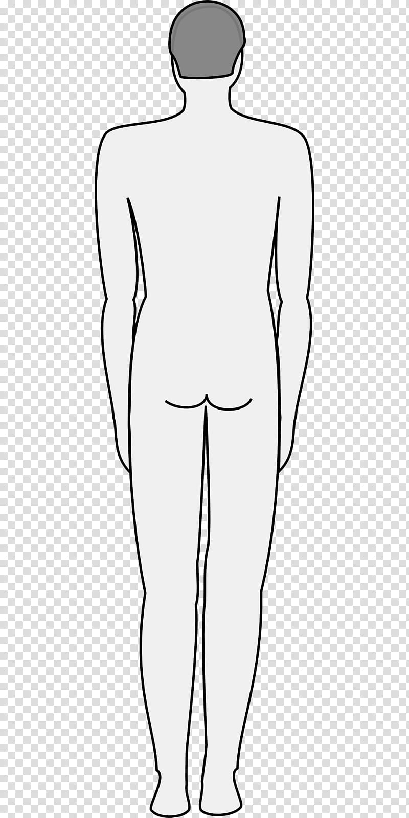 Female Silhouette, female Body Shape, human Anatomy, figure Drawing,  Anatomy, Back, chest, trunk, human Leg, leg