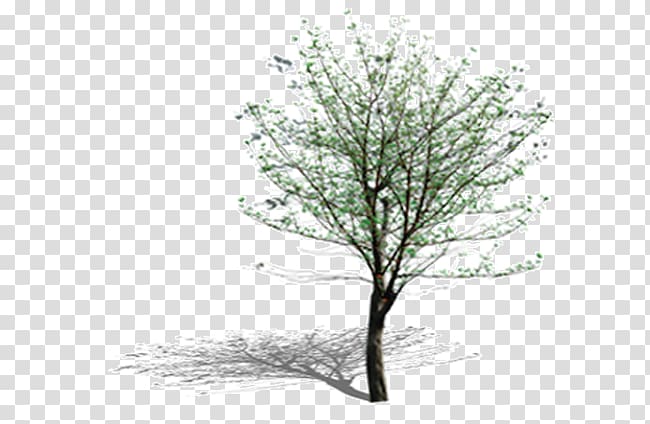 green leafed tree illustration, Tree Leaf Computer Pattern, tree transparent background PNG clipart