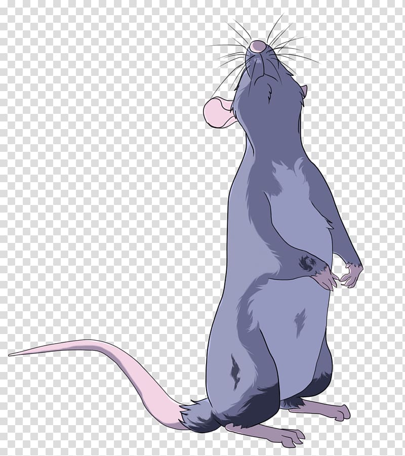 Rat Drawing Cat Line art Sketch, Rat & Mouse transparent background PNG clipart