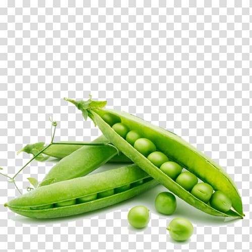 Organic food Pea Dal Vegetable, pea transparent background PNG clipart