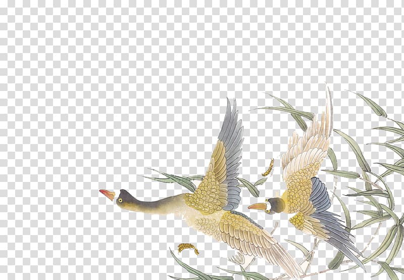 China Chinese painting Bird-and-flower painting , Fly bird transparent background PNG clipart