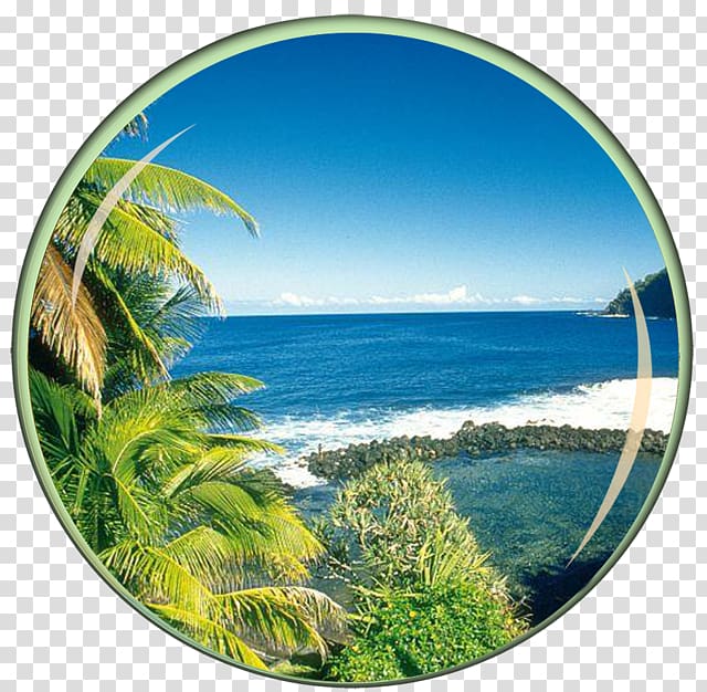 Saint-Denis Sainte-Marie, Réunion Mauritius Island Hotel Travel, events posters transparent background PNG clipart