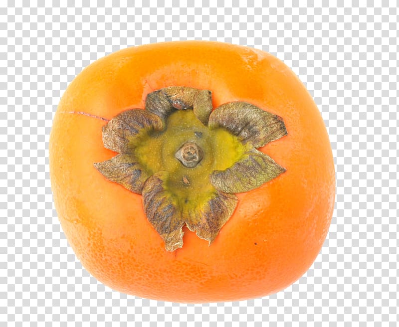 Persimmon Fruit , HD persimmon transparent background PNG clipart