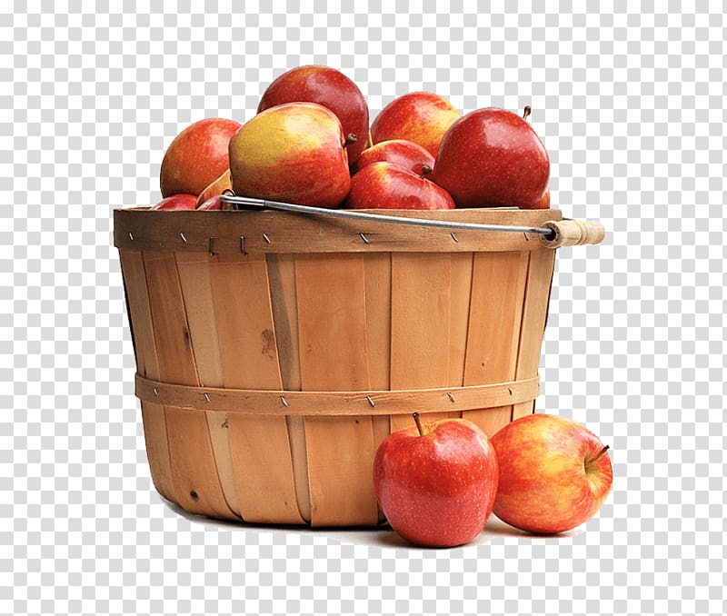 Apple Fruit Macintosh Jez jablka, naštveš Putina! , apple transparent background PNG clipart
