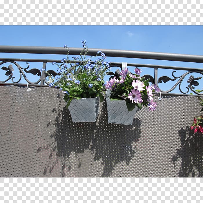 Wall Fence Plant Balcony Property, creeper hang on road floral transparent background PNG clipart