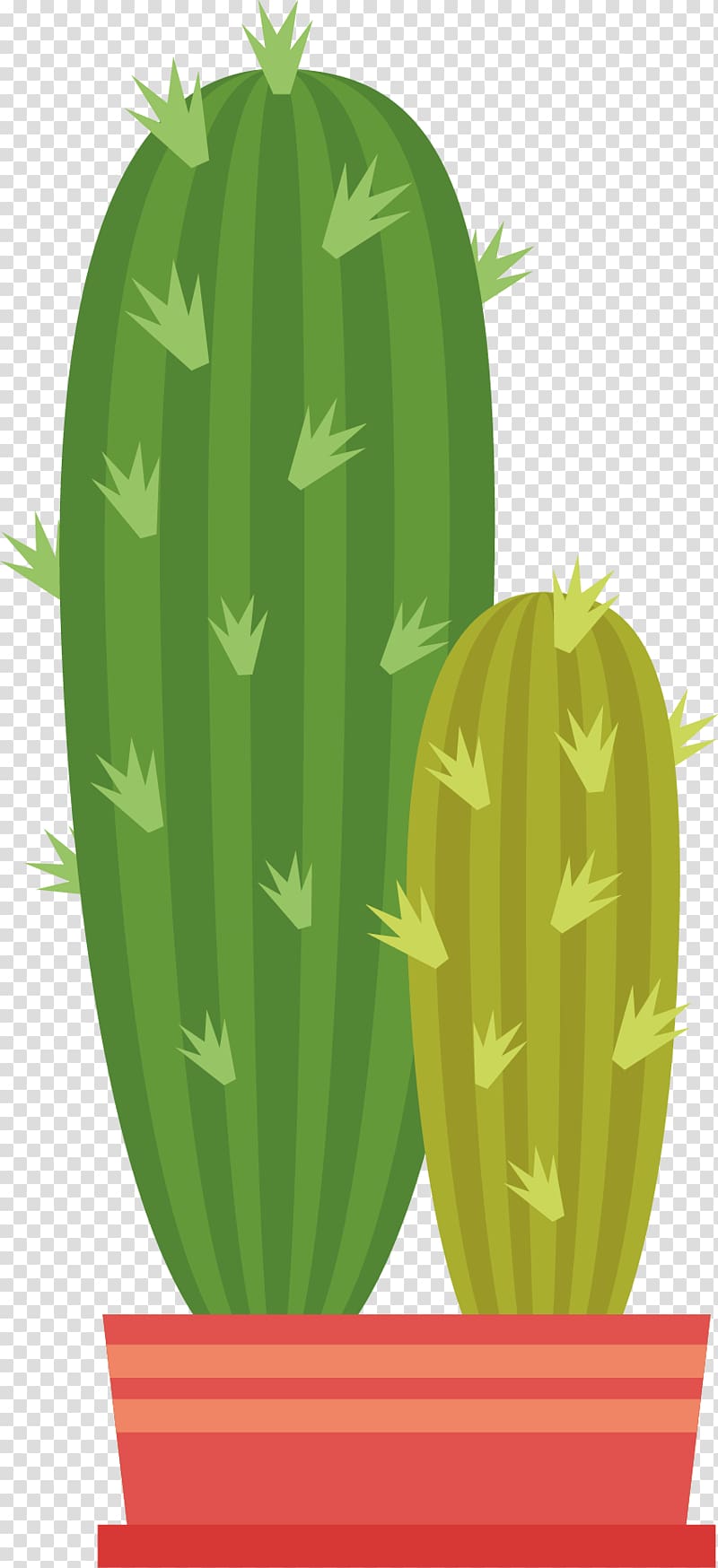 Cactaceae Euclidean Green, Cactus transparent background PNG clipart