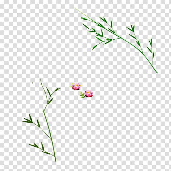 Floral design Petal Pattern, bamboo transparent background PNG clipart