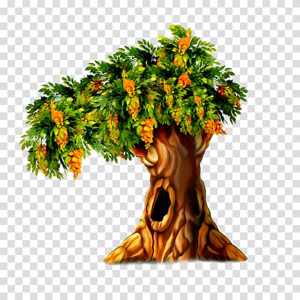 Tree hollow, tree transparent background PNG clipart