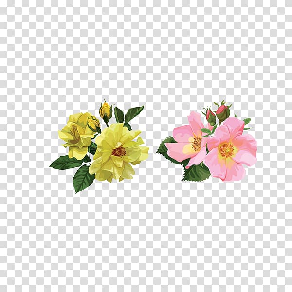 Rosa arkansana Flower bouquet Illustration, Floral decoration pattern transparent background PNG clipart