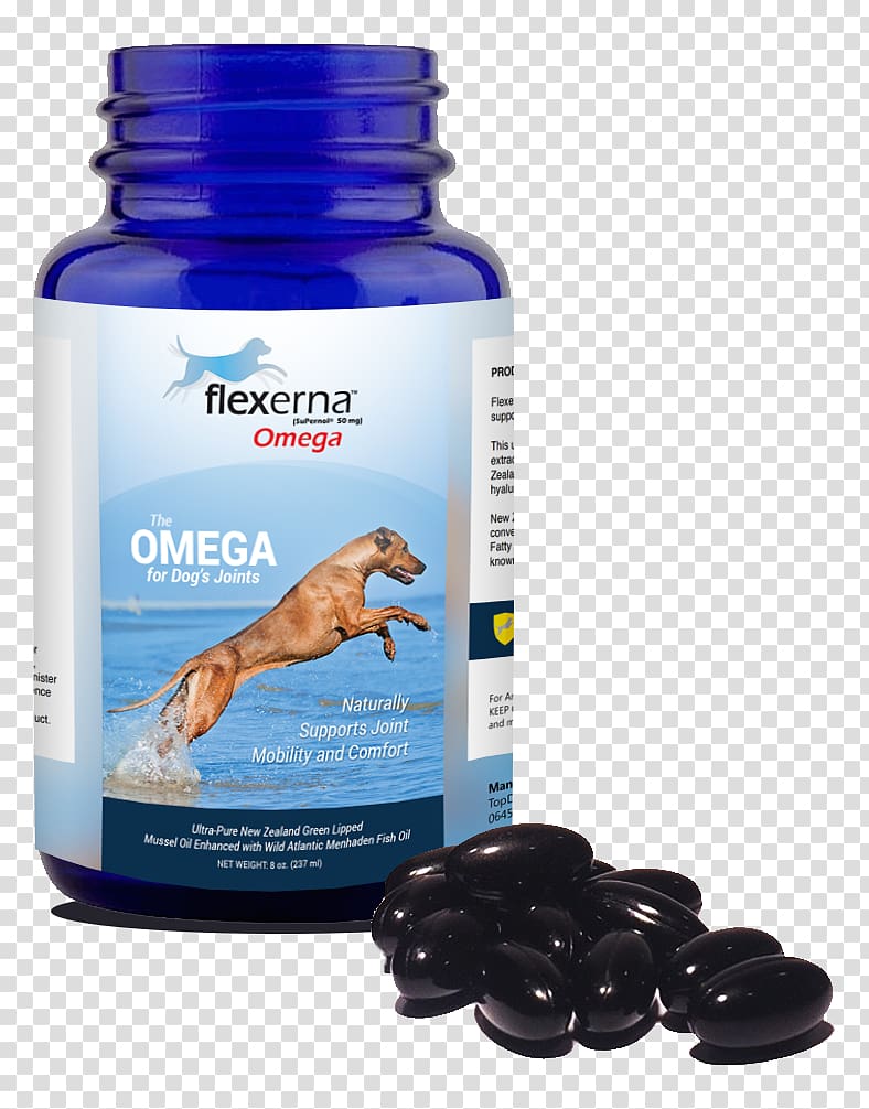 Dietary supplement Dog Omega-3 fatty acids Health Perna canaliculus, Dog transparent background PNG clipart