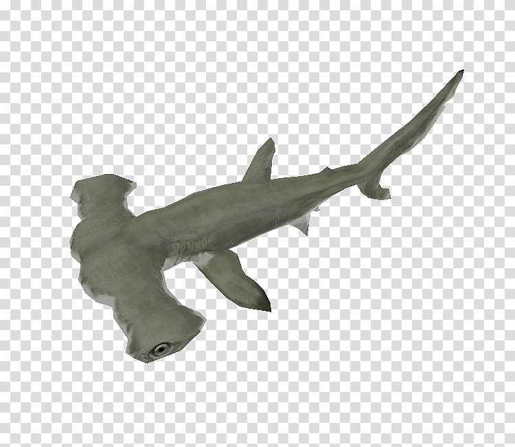 Hammerhead shark Chondrichthyes Fish Animal figurine, BABY SHARK transparent background PNG clipart