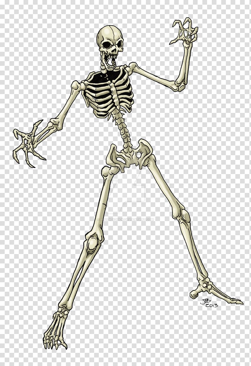 Pathfinder Roleplaying Game Human skeleton Skull, Skeleton transparent background PNG clipart