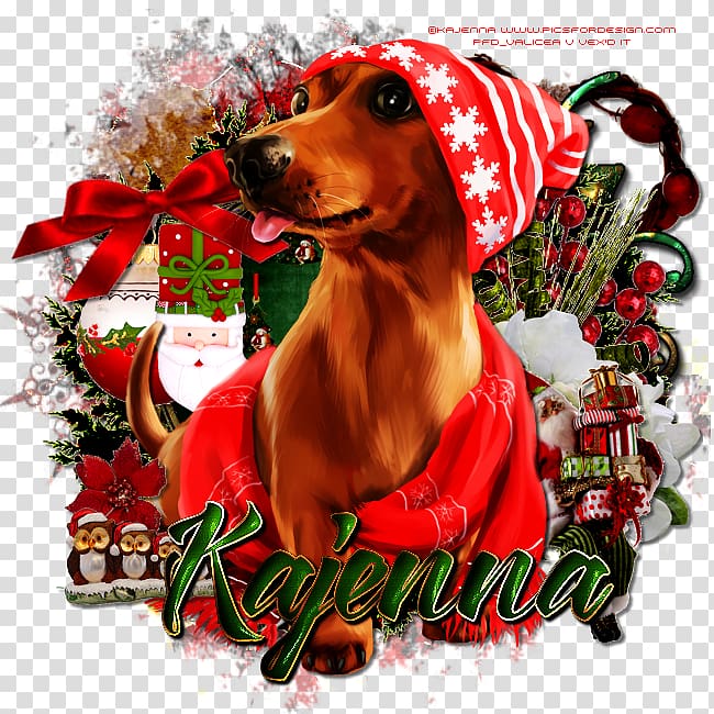 Dog breed Dachshund Christmas ornament Puppy, puppy transparent background PNG clipart