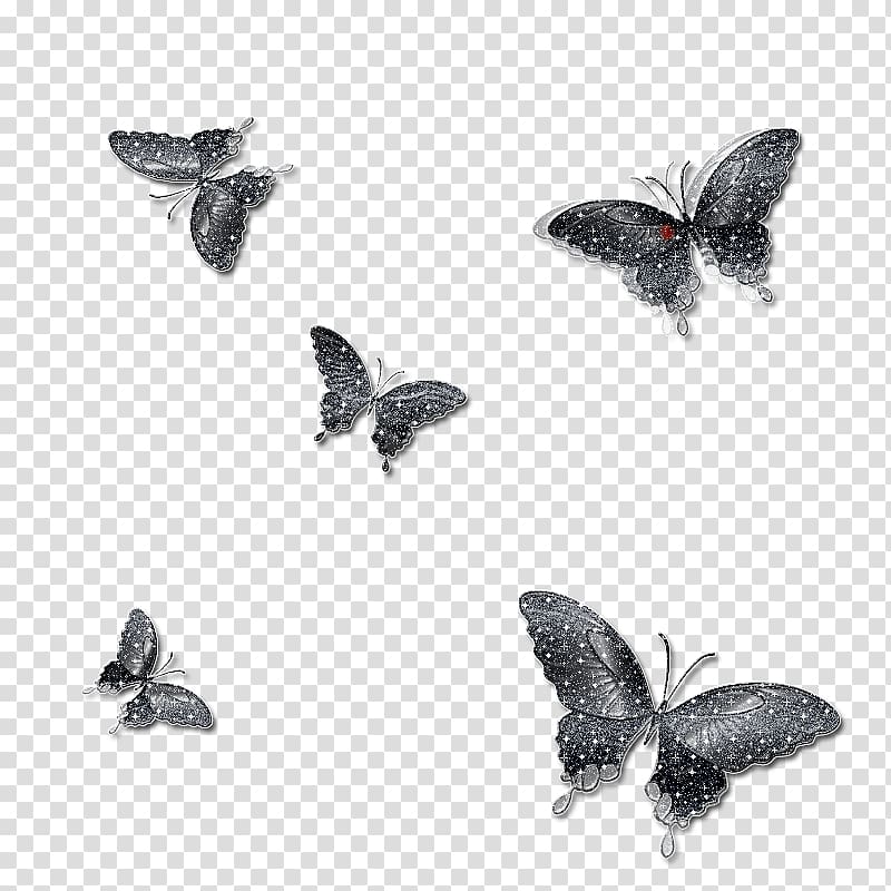 Butterfly Hipster, Black Butterfly,butterfly,Fly,material transparent background PNG clipart