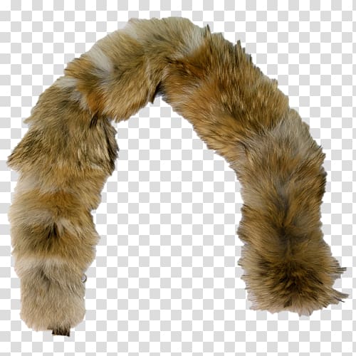 Coyote Fur clothing Muskrat Ruff, fur transparent background PNG clipart