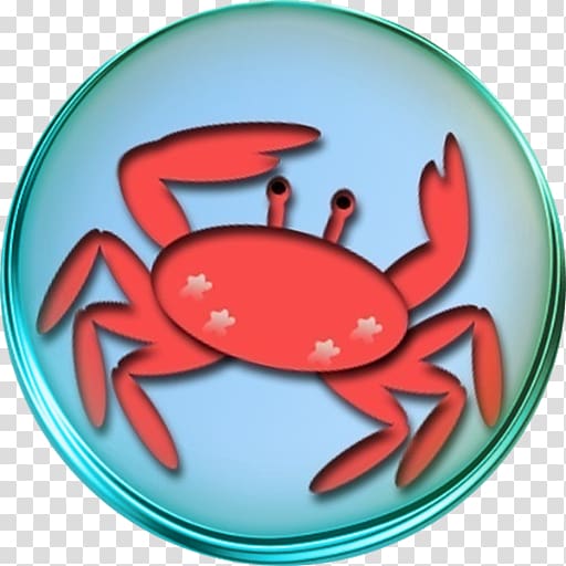 Dungeness crab Animated cartoon, crab transparent background PNG clipart