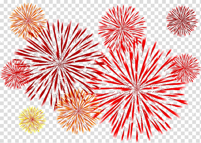Adobe Fireworks Euclidean , Fireworks transparent background PNG clipart