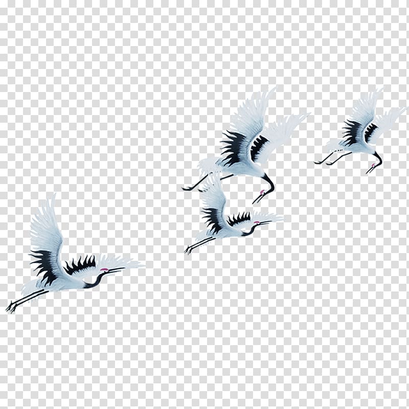 red-crowned crane transparent background PNG clipart