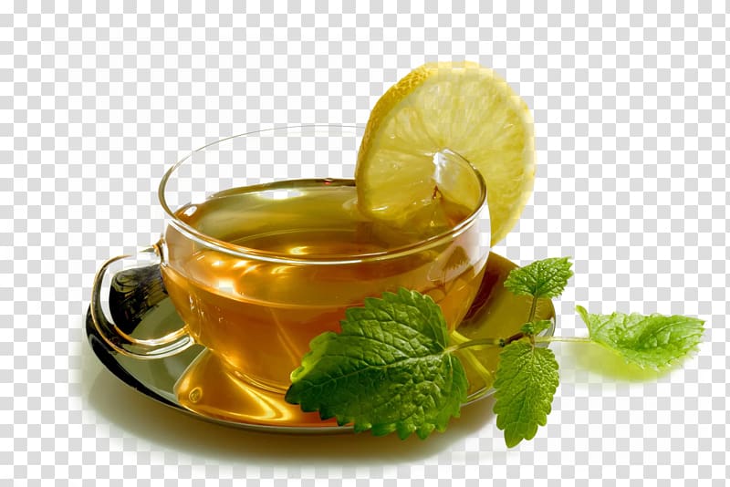 lemon tea, Maghrebi mint tea Spearmint Drink Food, Cup tea transparent background PNG clipart