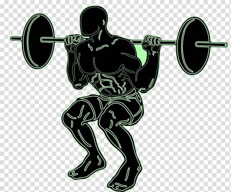 Squat Exercise Weight training Olympic weightlifting , squat transparent background PNG clipart