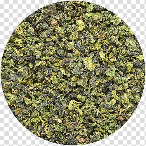 Green tea Hibiscus tea Herbal tea Oolong, western recipes transparent background PNG clipart