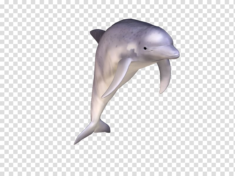 Common bottlenose dolphin Short-beaked common dolphin Tucuxi Rough-toothed dolphin Wholphin, hemoglobin transparent background PNG clipart