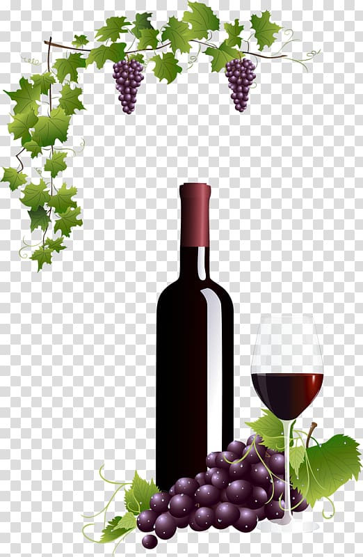 Common Grape Vine Wine glass Red Wine, grape transparent background PNG clipart