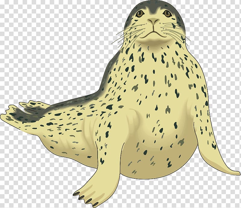 Harp seal Pinniped Harbor seal , Pink Seal transparent background PNG clipart