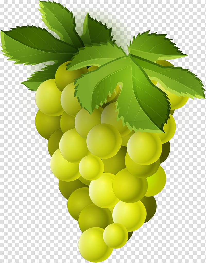 Common Grape Vine Sultana Seedless fruit, grape transparent background PNG clipart