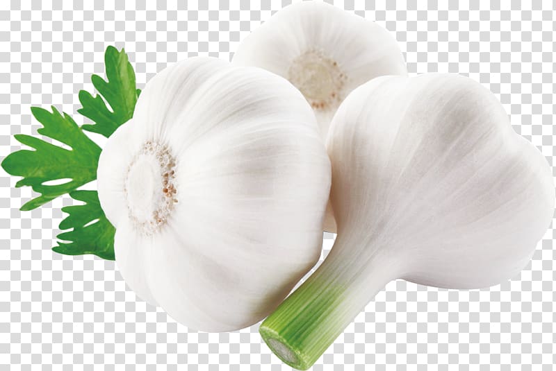 Tea Garlic Machacado con huevo Vegetable Allicin, garlic transparent background PNG clipart