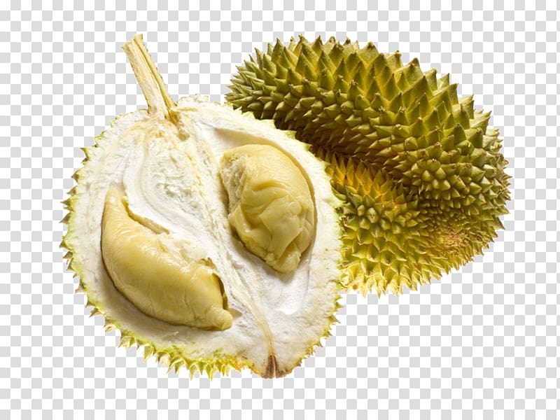 Durio zibethinus Thai cuisine Tropical fruit Flavor, durian fruit products in kind transparent background PNG clipart