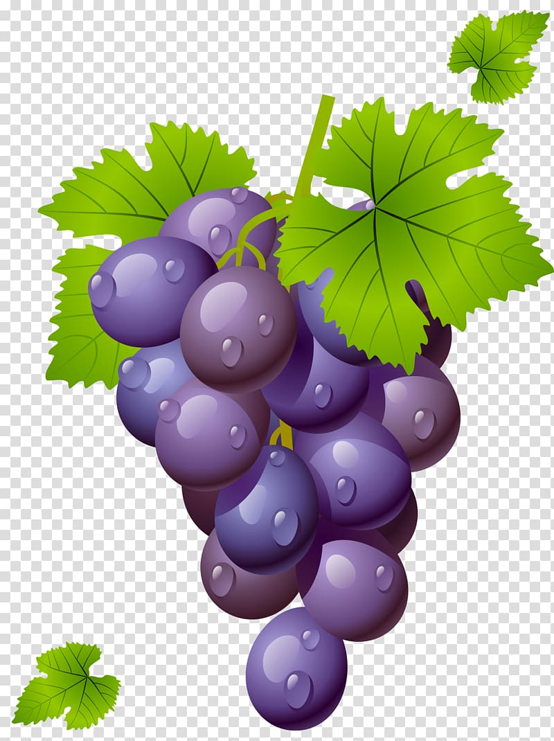 Wine Common Grape Vine Grape leaves , Grape with Leaves , purple grape illustration transparent background PNG clipart