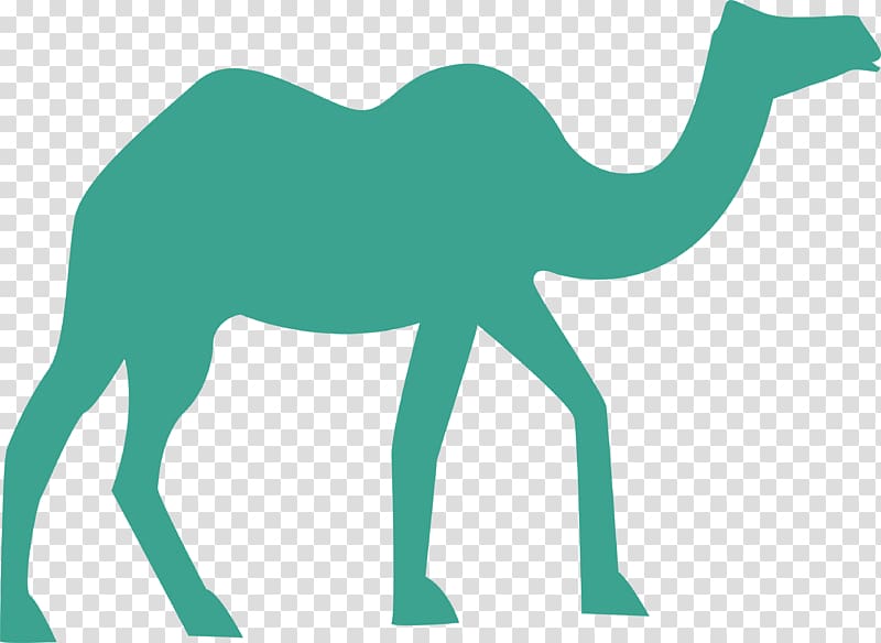 Camel Desert , Green desert camel transparent background PNG clipart