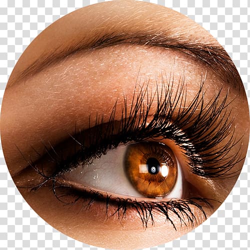 human brown eye , Eyelash extensions Artificial hair integrations Beauty Parlour Cosmetics, eyelashes transparent background PNG clipart