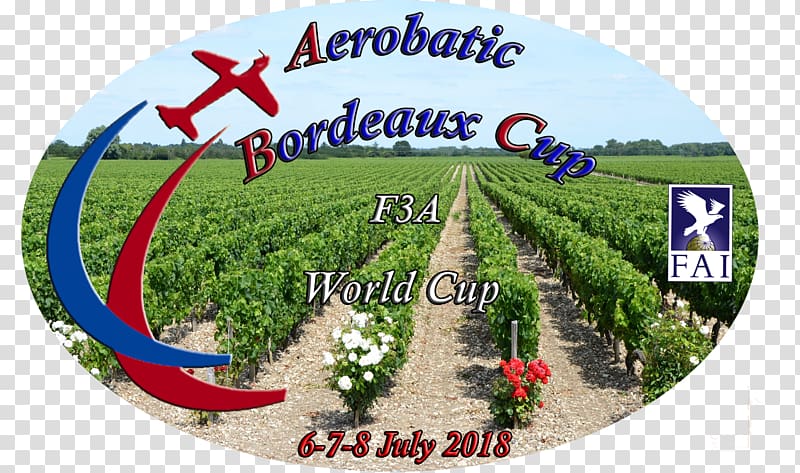Tourism Femoroacetabular impingement, World cup 2018 france transparent background PNG clipart
