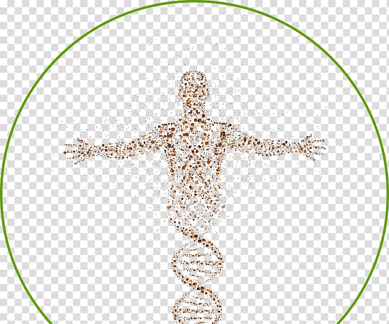 DNA Human genome Cell Science Homo sapiens, science transparent background PNG clipart