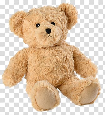 Teddy bear transparent background PNG clipart