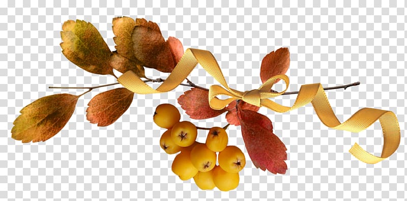 Light Autumn Auglis Acorn, acorn transparent background PNG clipart