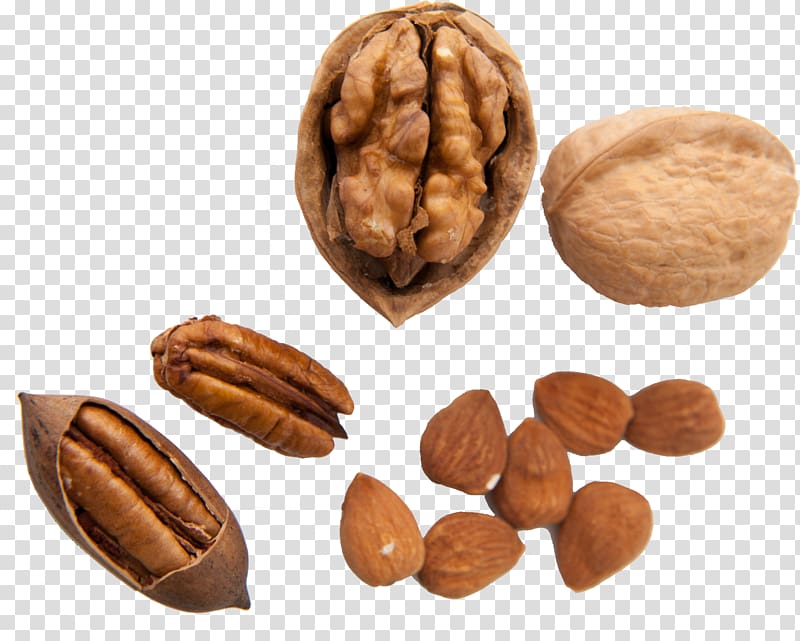 Walnut Pecan Nuts Auglis, walnut transparent background PNG clipart