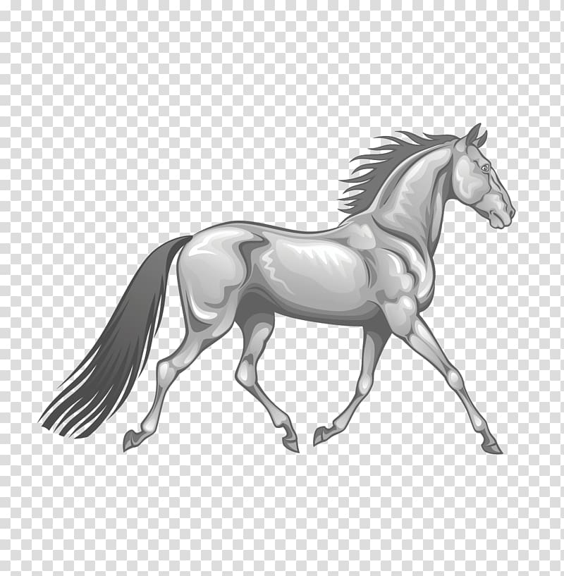 Horse Stallion Gallop Illustration, Hand drawn walking horse transparent background PNG clipart