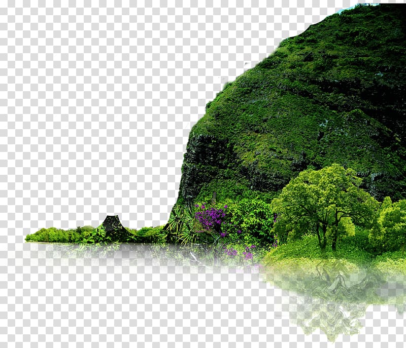 green tree beside hill, Landscape Nature Icon, Creative landscapes transparent background PNG clipart