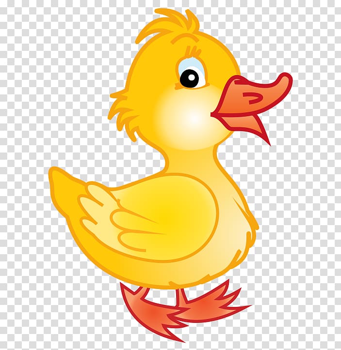 Rubber duck , Of Ducklings transparent background PNG clipart